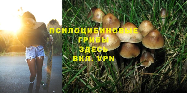 PSILOCYBIN Верея