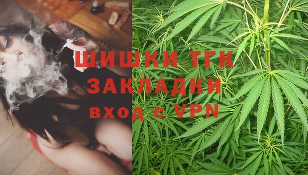 PSILOCYBIN Верея